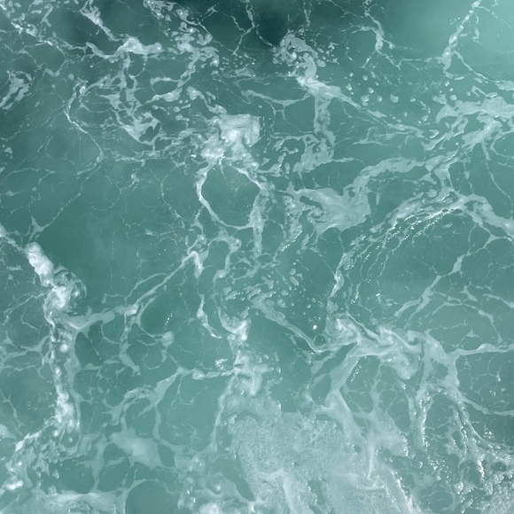 Meet your Posher, Maggie - Picture 1 of 1